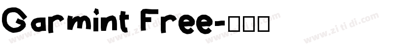 Garmint Free字体转换